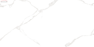 Плитка AltaCera Elemento Bianco Carrara WT9ELT00 (24,9x50)